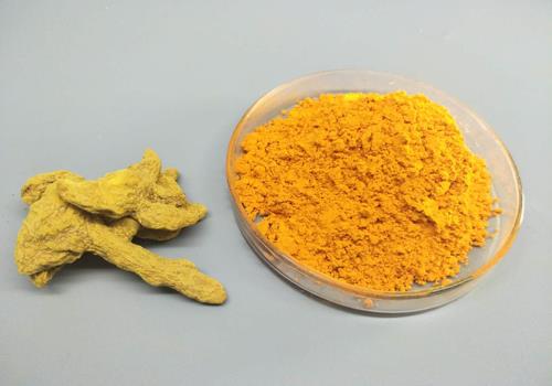 bột curcumin curcumin powder