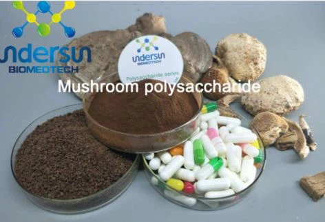 Mushroom extract manufacturer-Undersun Mushroom extract manufacturer-Undersun