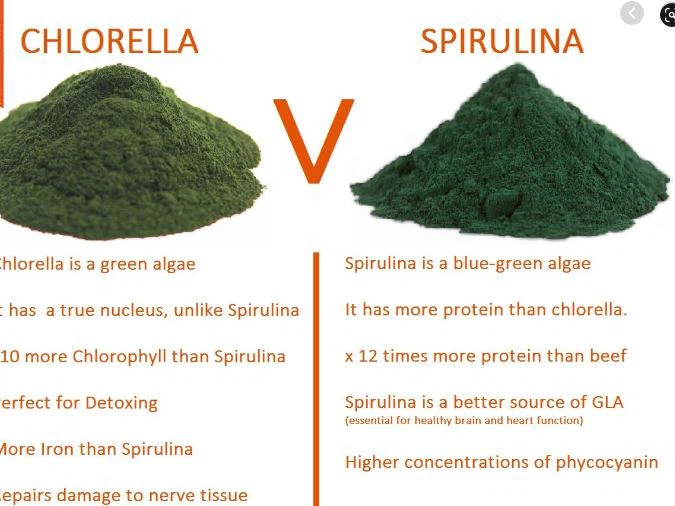 Chlorella vs. Spirulina Chlorella vs. Spirulina