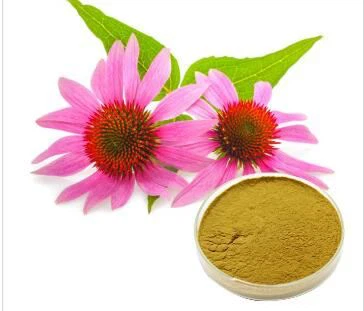Super echinacea extract