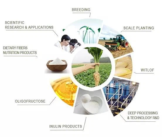 What is inulin powder used for What is inulin powder used for