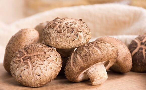 what is shiitake mushroom extract used for what is shiitake mushroom extract used for