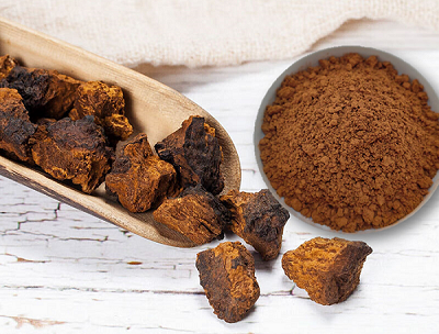 Kiểm tra ID cho chiết xuất nấm Chaga: Tính xác thực và chất lượng