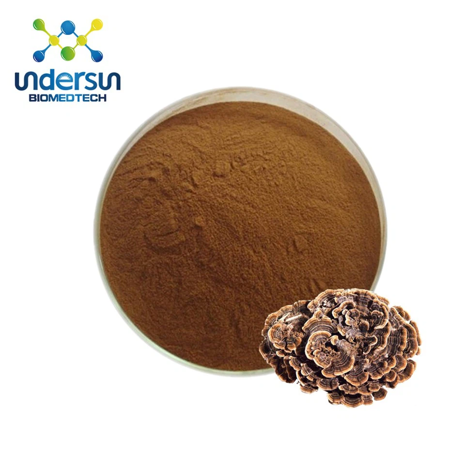 Chiết xuất nấm đuôi Thổ Nhĩ Kỳ hữu cơ