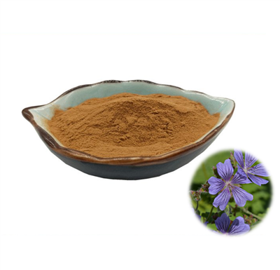 Chiết xuất phong lữ Sibiricum