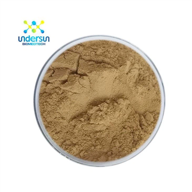 Chiết xuất gốc Astragalus