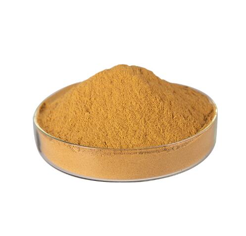 Chiết xuất vỏ cây Phellodendron Amurense