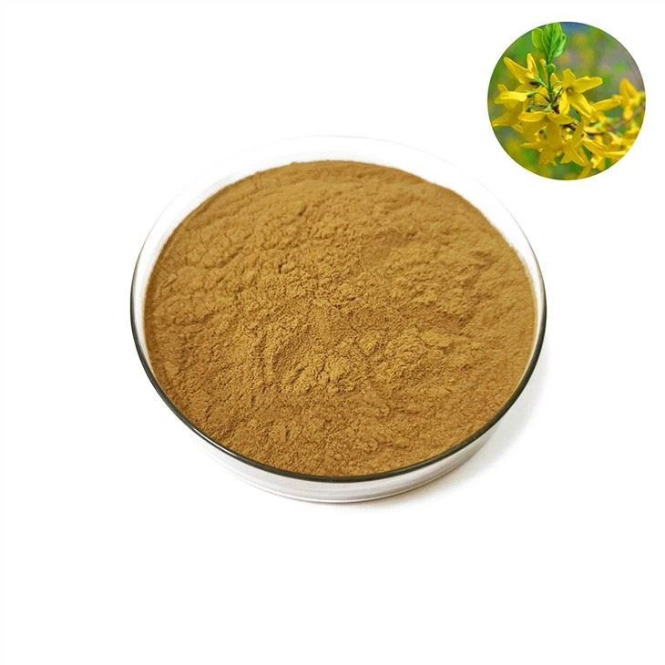 Chiết xuất Forsythia Suspensa