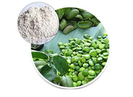 Chiết xuất hạt giống Griffonia Simplicifolia
