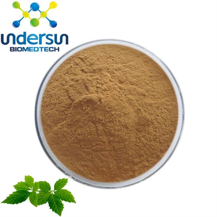 Chiết xuất Gynostemma Pentaphyllum
