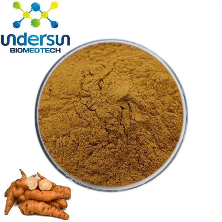 Chiết xuất rễ cây Rehmannia
