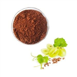 Bột chiết xuất hạt nho hữu cơ