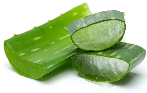Cách làm bột nha đam như thế nào?