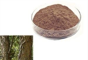 Chiết xuất vỏ cây liễu đen