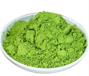 Bột Matcha số lượng lớn