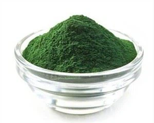 Bột Spirulina số lượng lớn