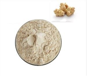 Bột rễ rau diếp xoăn