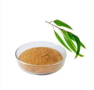 Bột bạch đàn