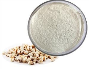 Đông lạnh bột hạt Coix khô