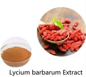 Lycium Barbarum Fruit Extract