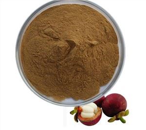 Bột chiết xuất măng cụt