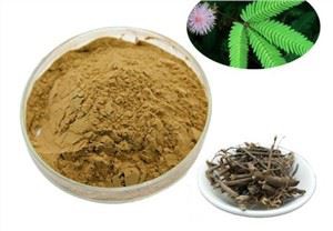 Bột vỏ rễ Mimosa Hostilis