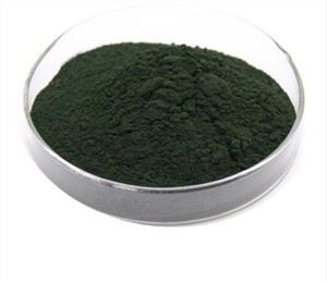 Bột Chlorella hữu cơ