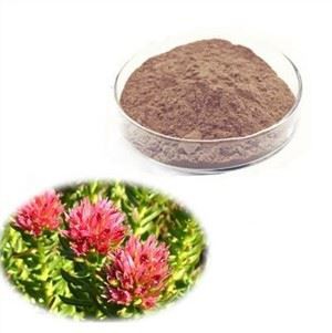 Rhodiola Rosea gốc chiết xuất