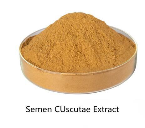 Semen Cuscutae Extract