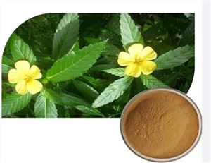 Chiết xuất thảo mộc Damiana