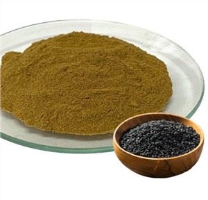 Chiết xuất Nigella Sativa