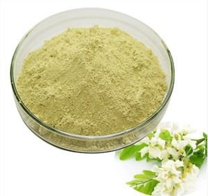 Bột Quercetin hữu cơ