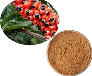 Chiết xuất hạt Paullinia Cupana