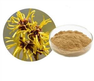 Chiết xuất cây phỉ