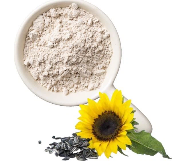 Bột protein hướng dương