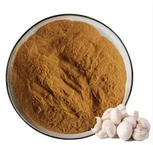 Chiết xuất trái cây Agaricus Bisporus