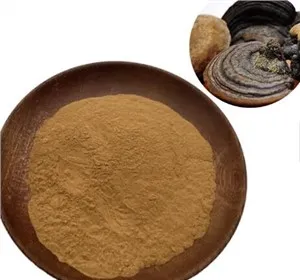 Chiết xuất nấm móng đen